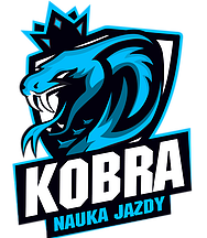 Kobra logo