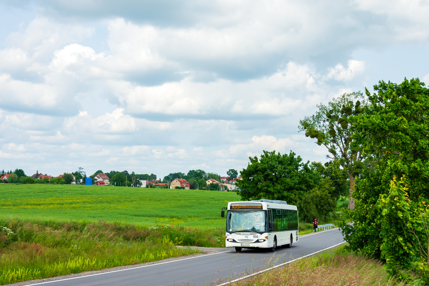 Scania CL94UB 4x2 LB #950