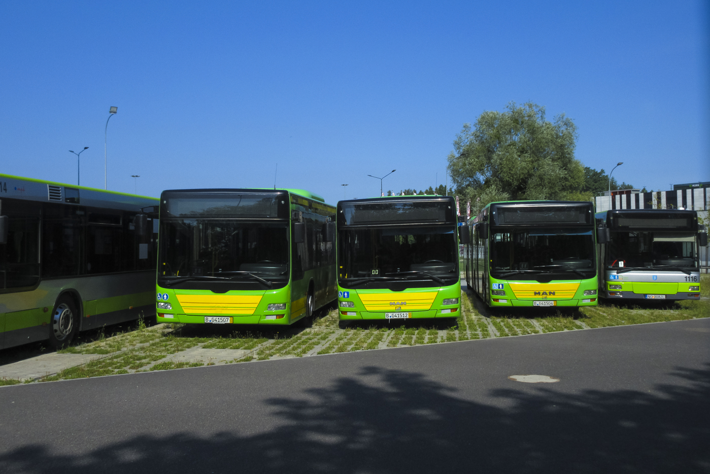 MAN NG313 Lion`s City G #2036