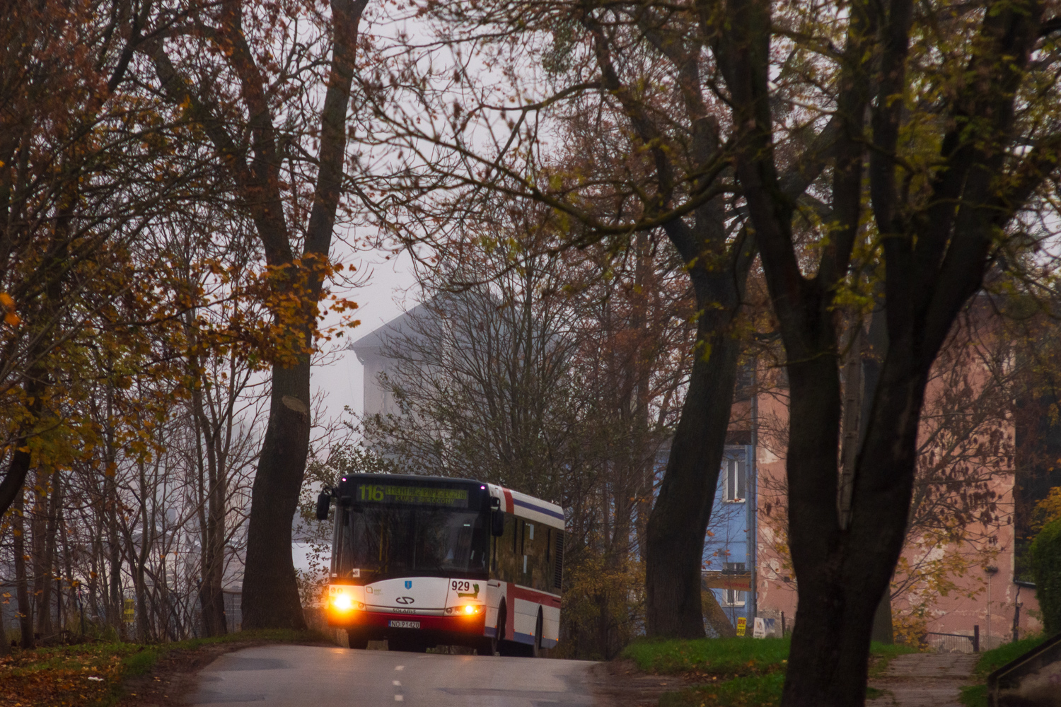 Solaris Urbino 12 #929