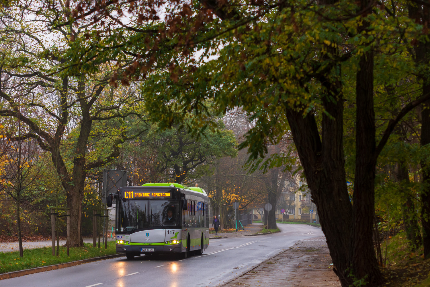 Solaris Urbino 12 #117