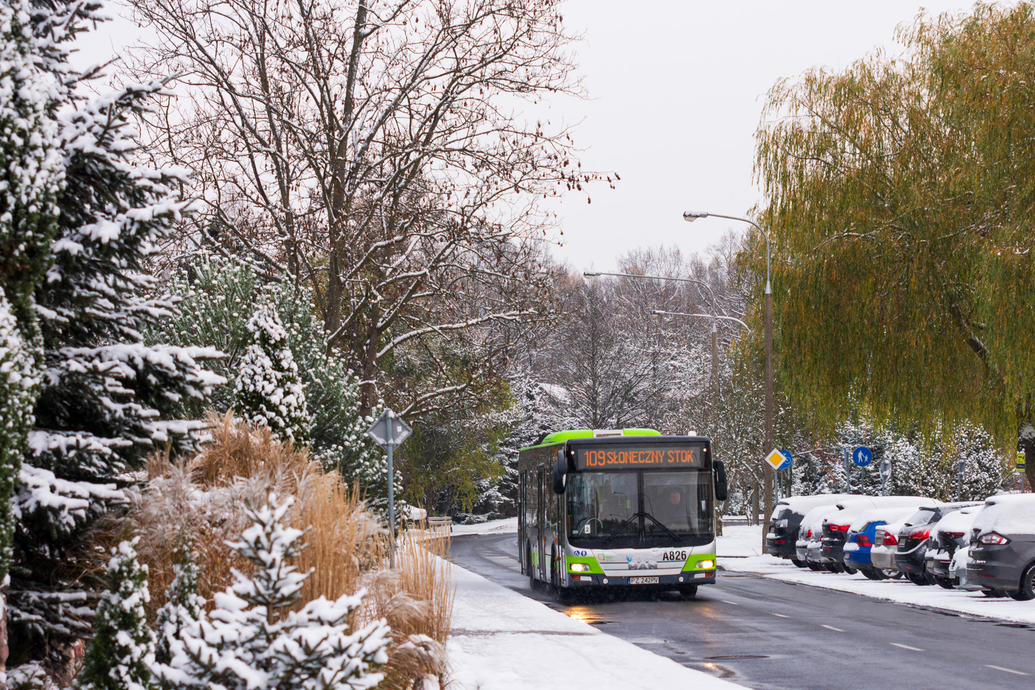 MAN NL323 Lion`s City #A826