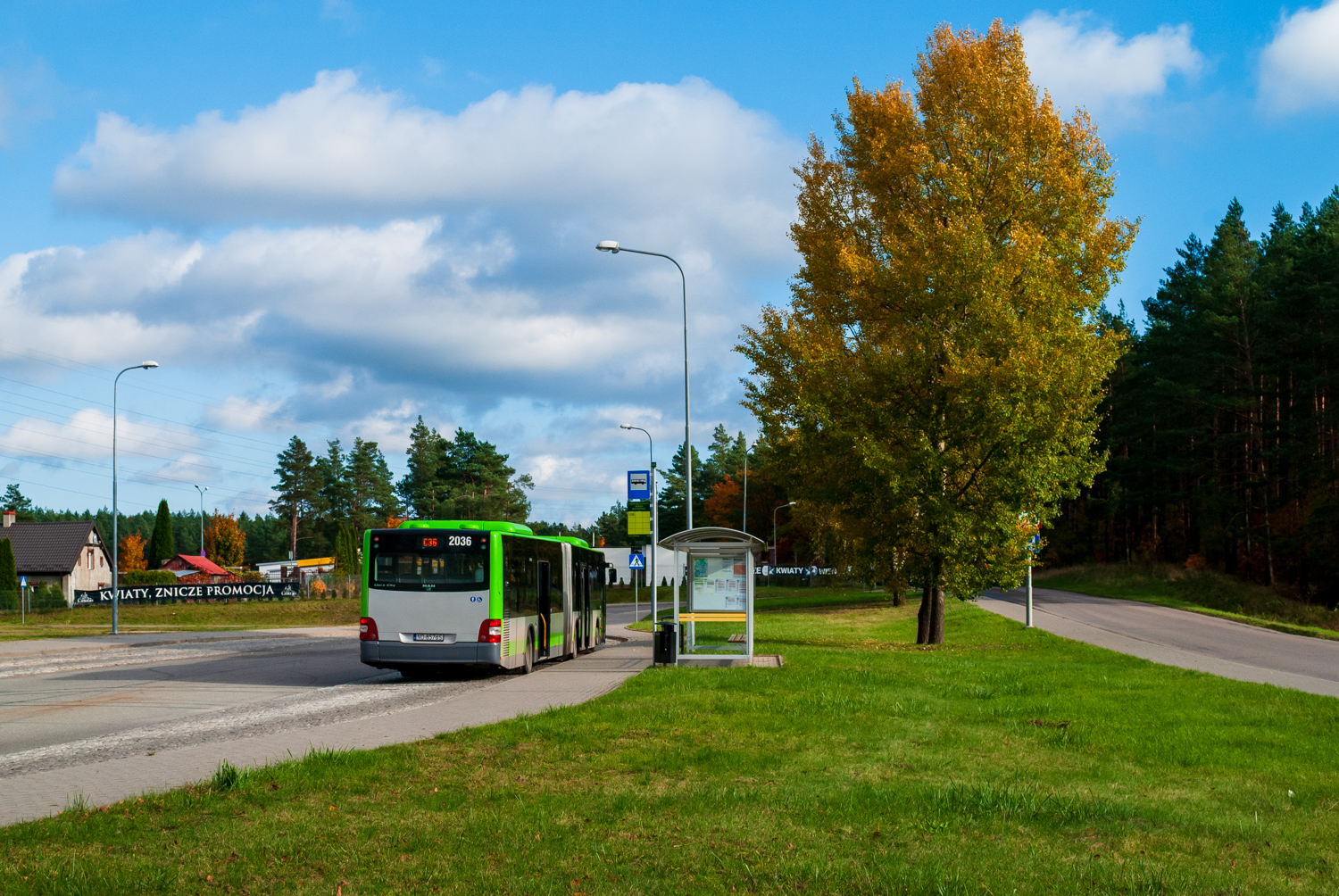 MAN NG313 Lion`s City G #2036