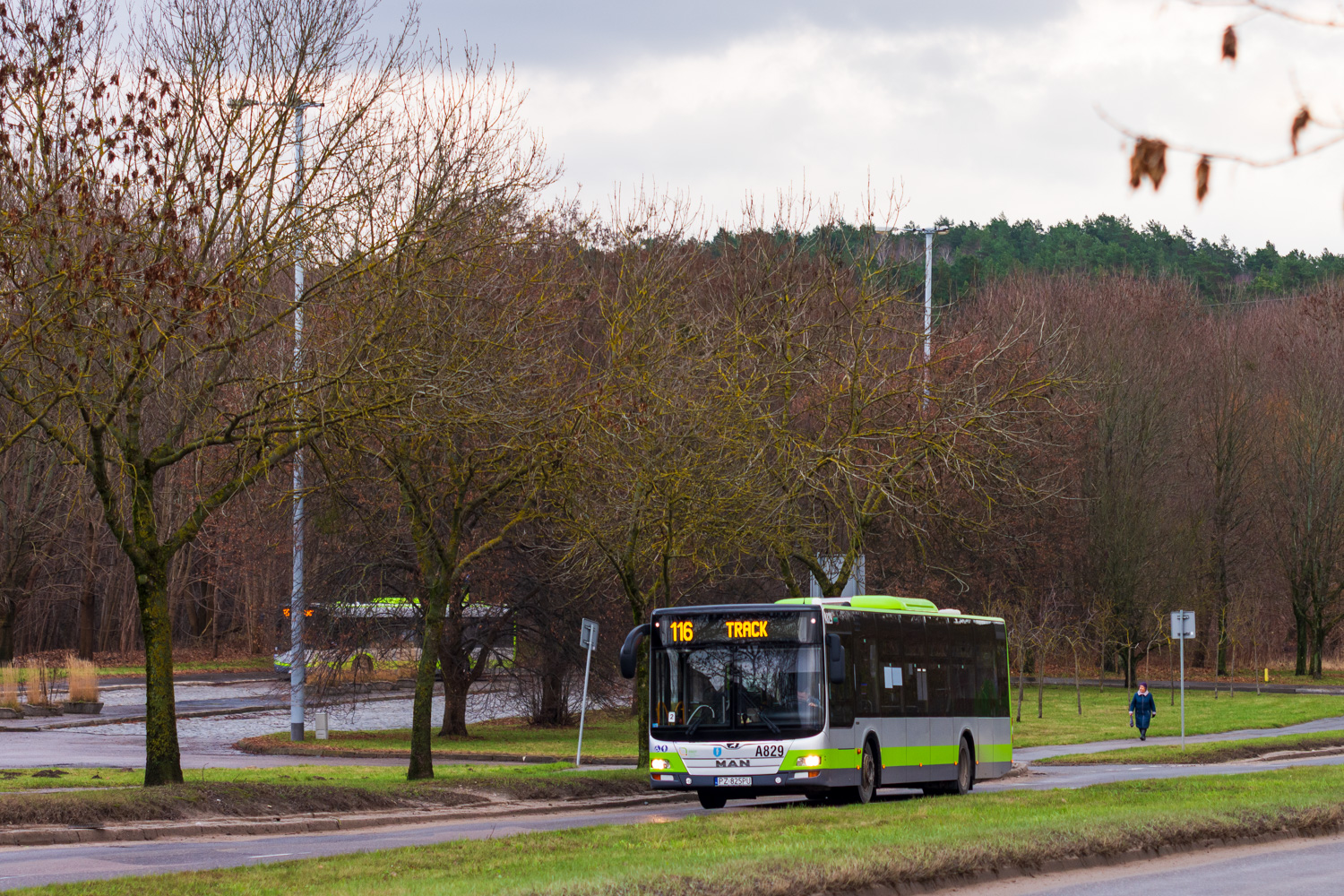 MAN NL323 Lion`s City #A829