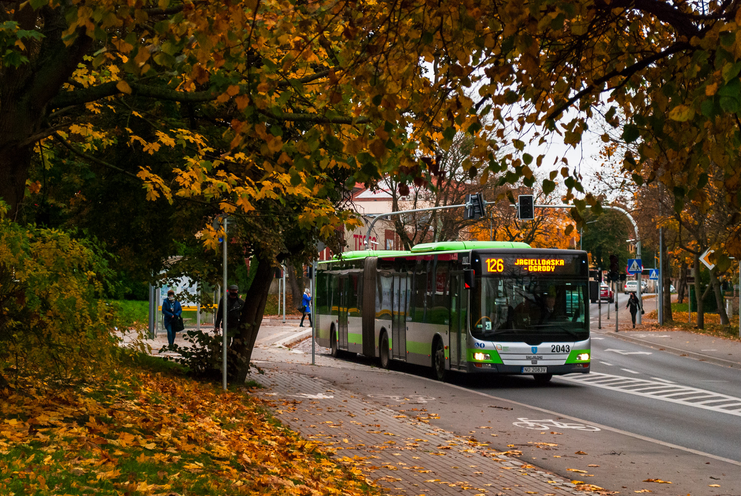 MAN NG323 Lion`s City G #2043