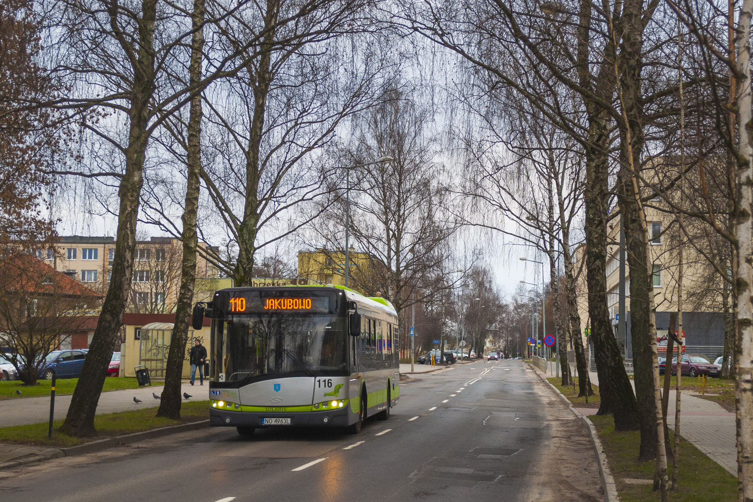 Solaris Urbino 12 #116