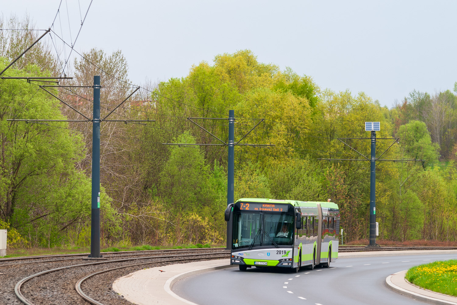 Solaris Urbino 18 #2019