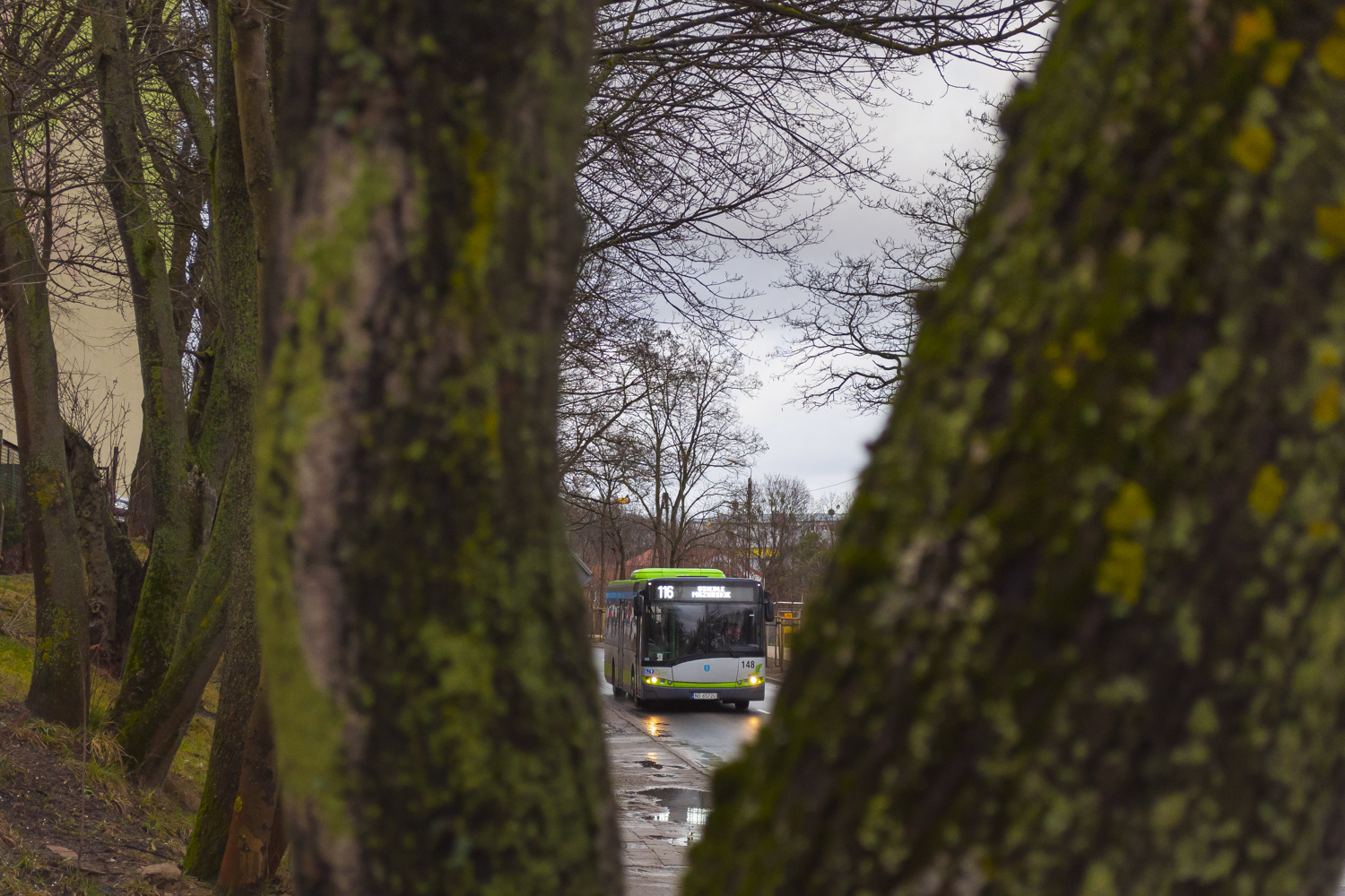 Solaris Urbino 12 #148