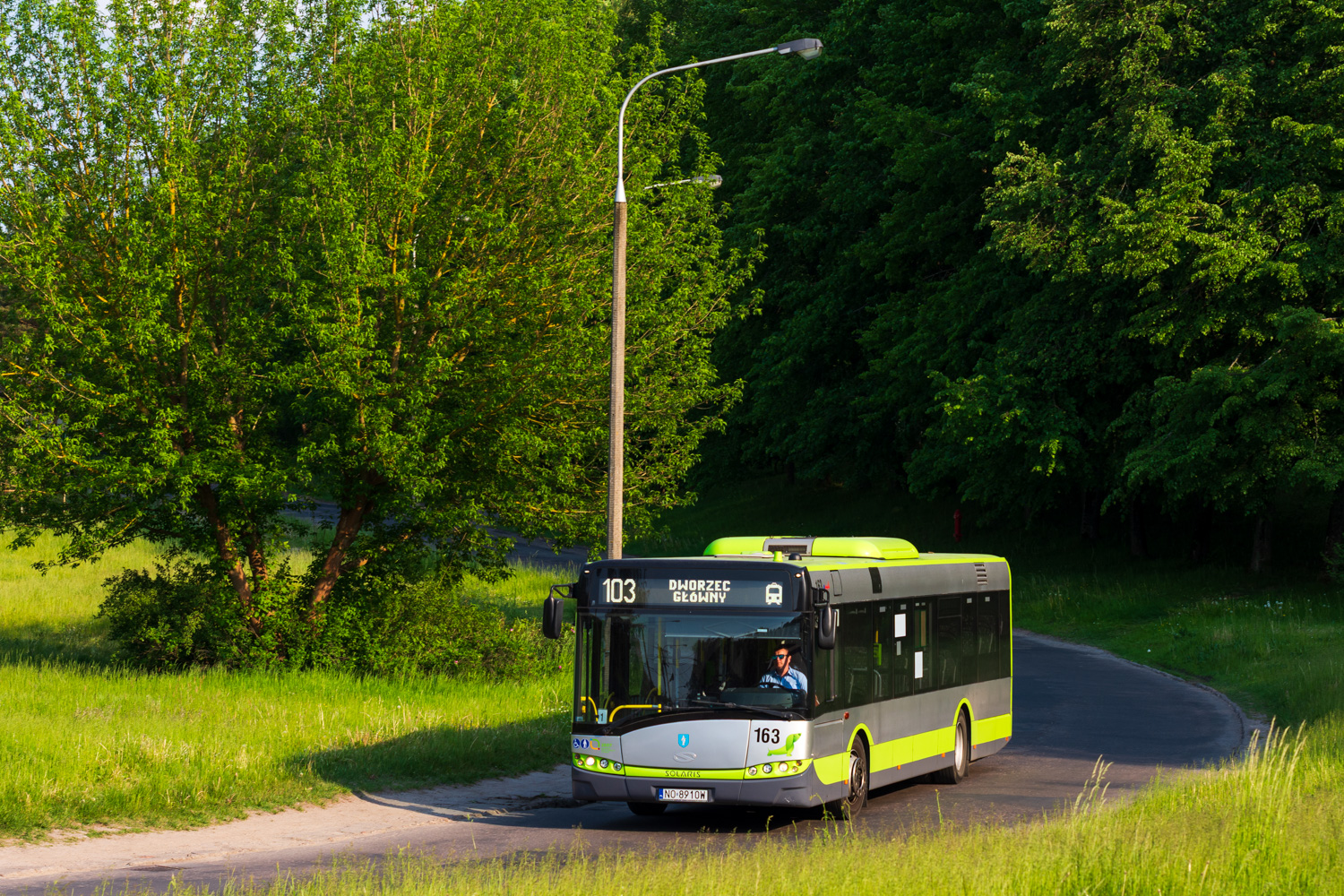 Solaris Urbino 12 #163