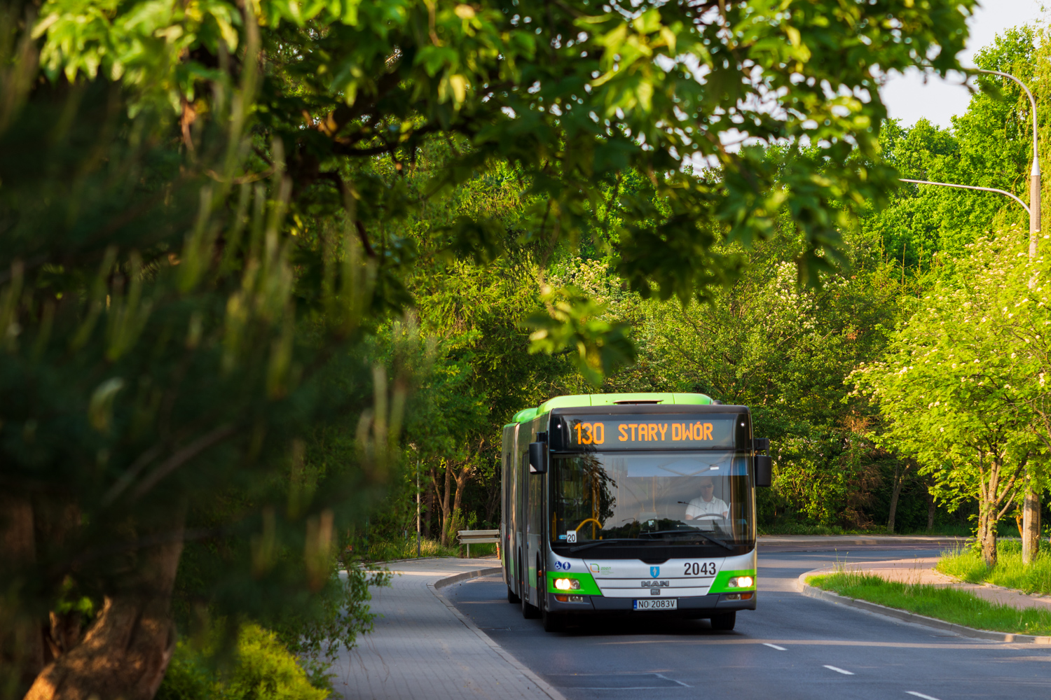 MAN NG323 Lion`s City G #2043