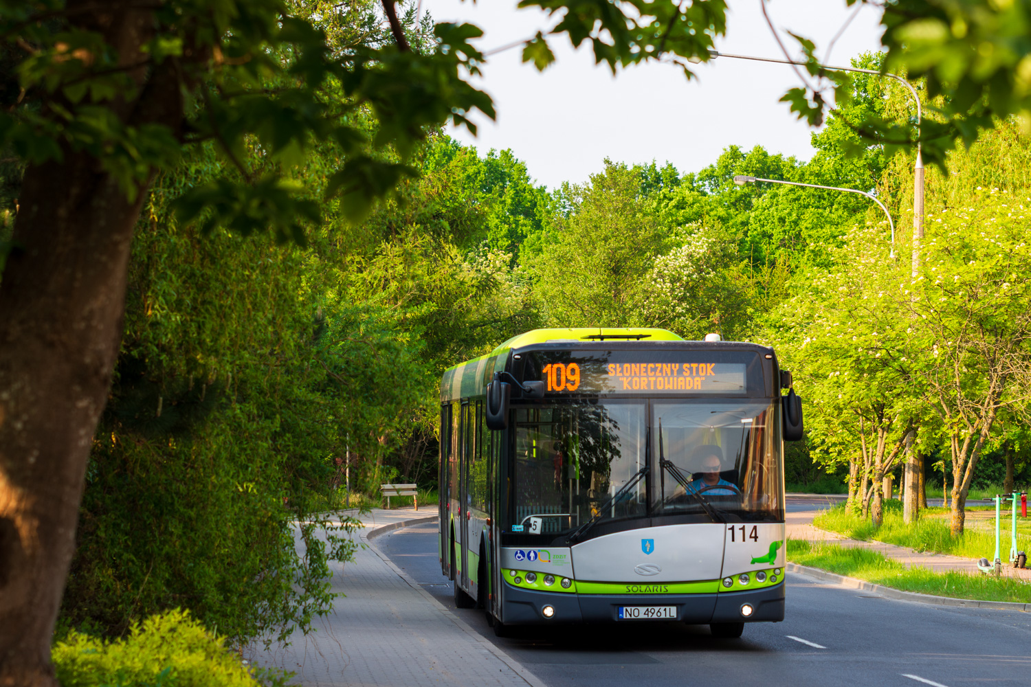 Solaris Urbino 12 #114