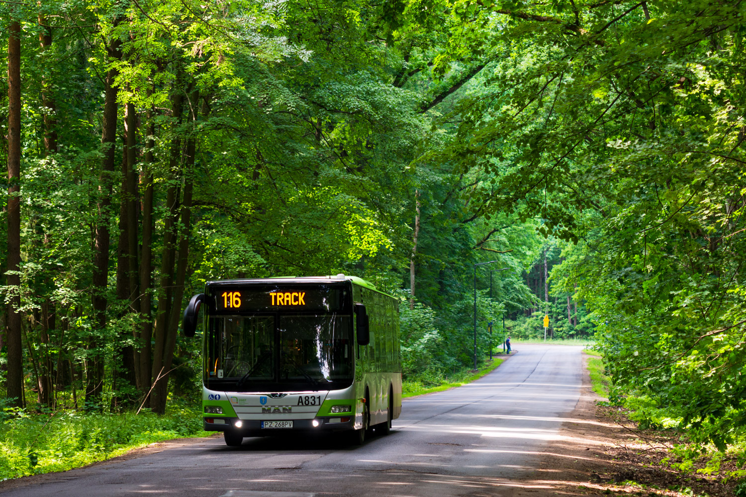 MAN NL323 Lion`s City #A831