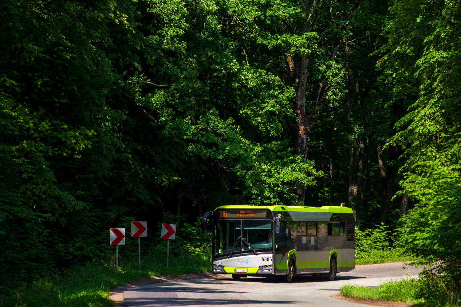 Solaris Urbino 12 #A805