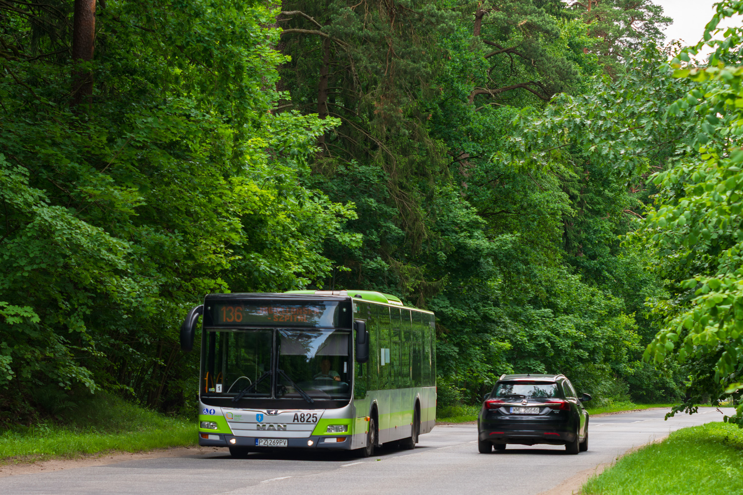 MAN NL323 Lion`s City #A825