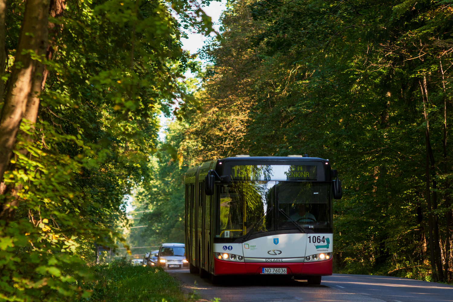 Solaris Urbino 18 #1064