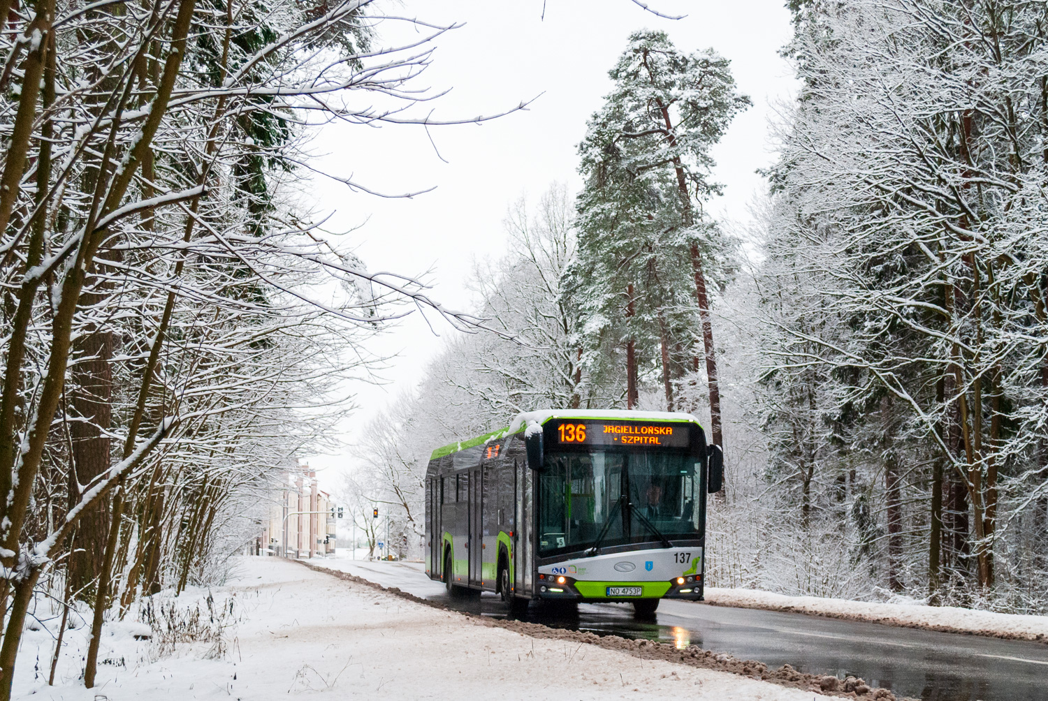 Solaris Urbino 12 #137