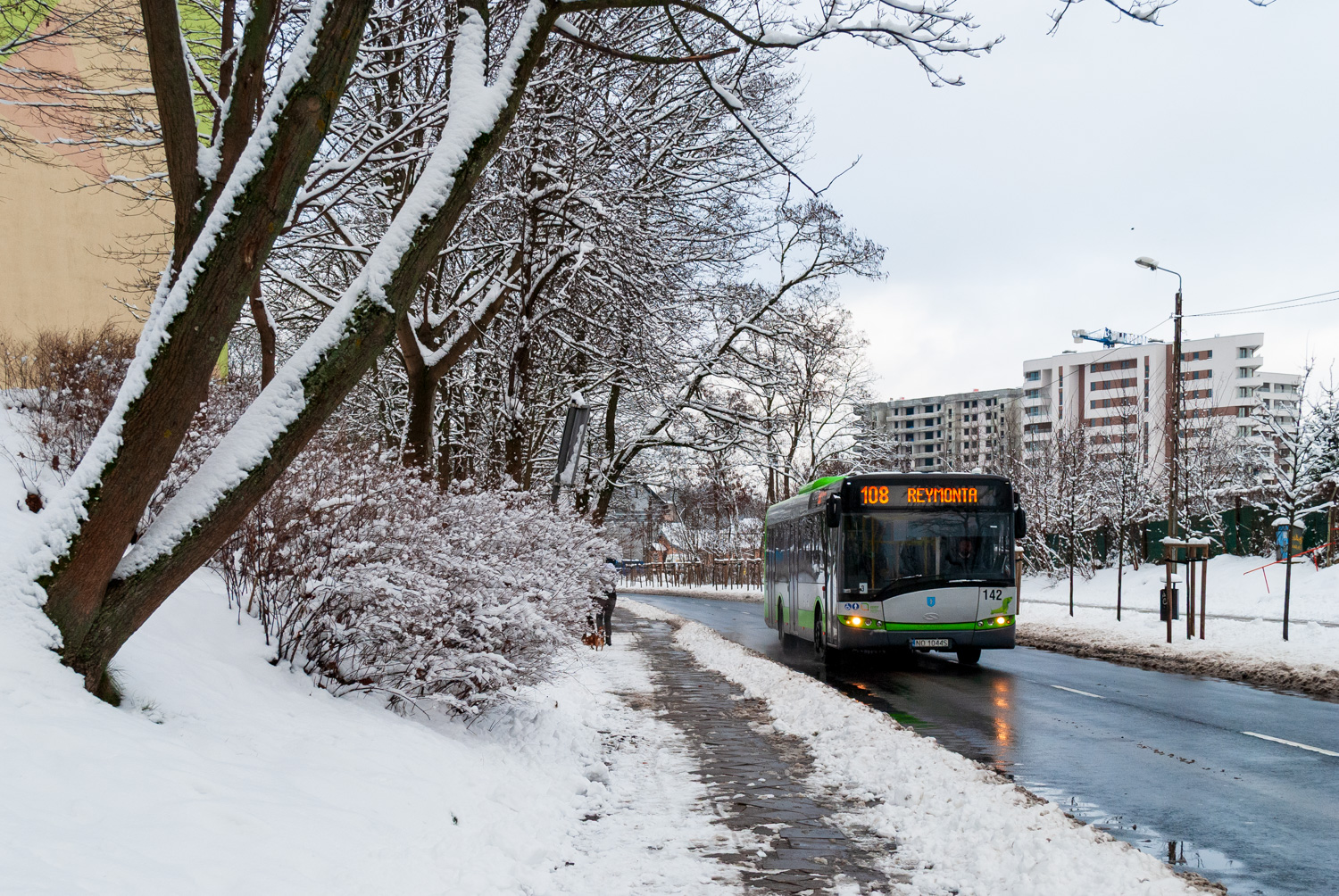 Solaris Urbino 12 #142