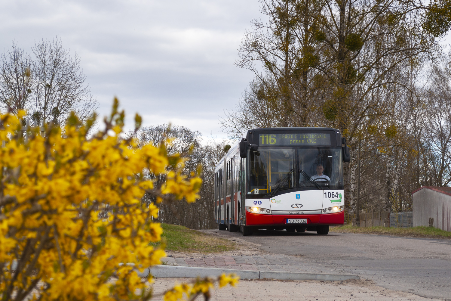 Solaris Urbino 18 #1064