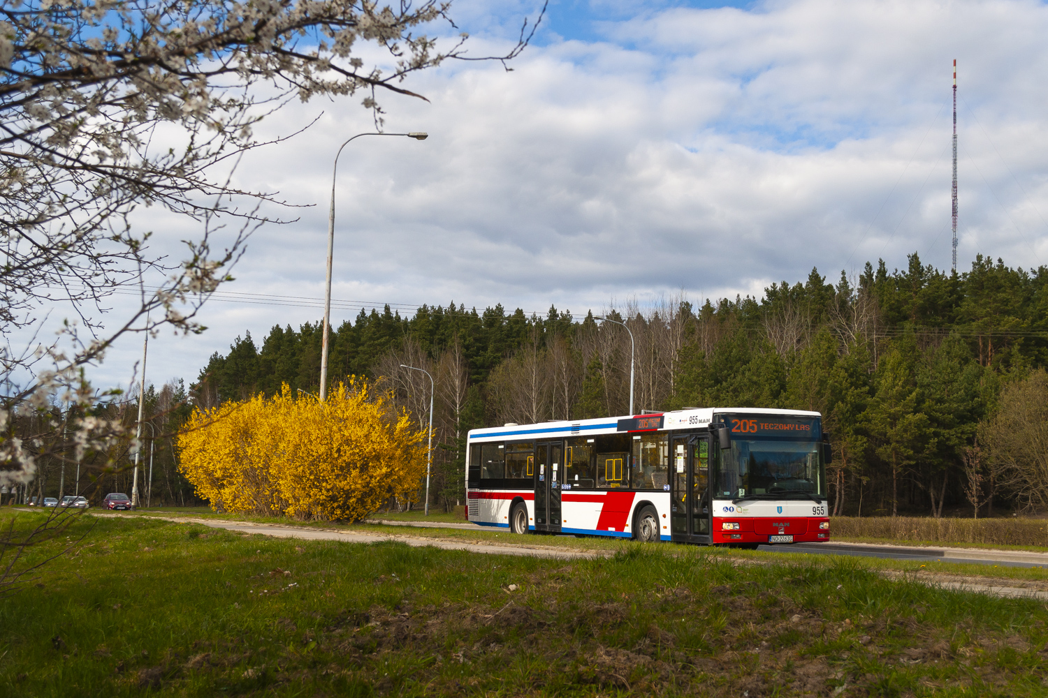 MAN NL263 #955
