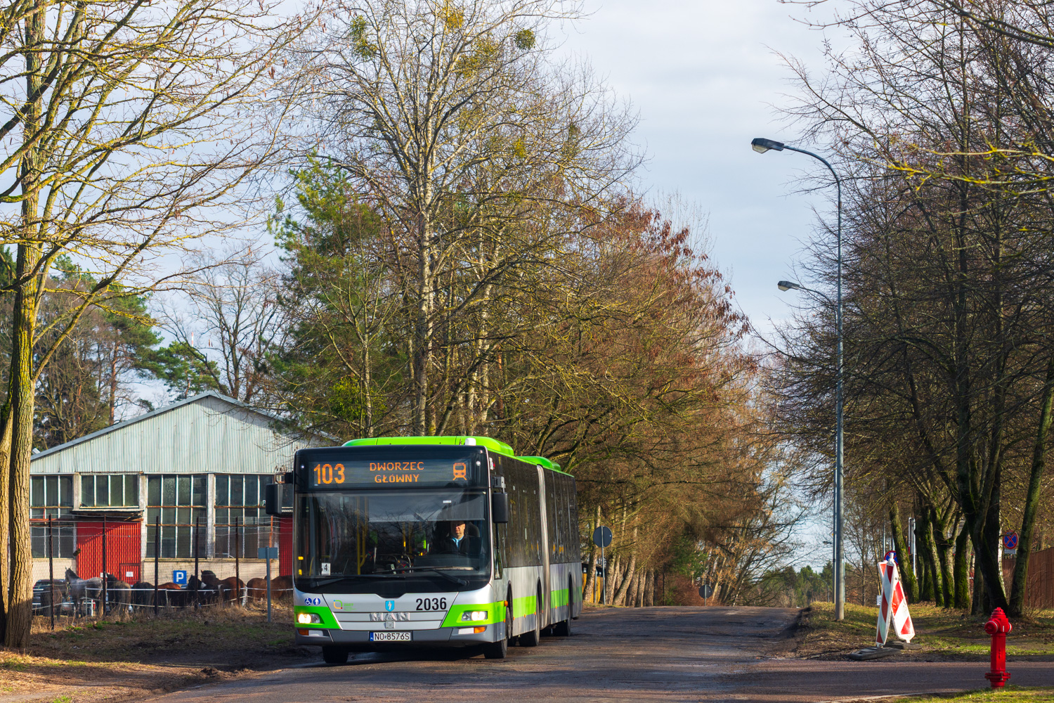 MAN NG313 Lion`s City G #2036