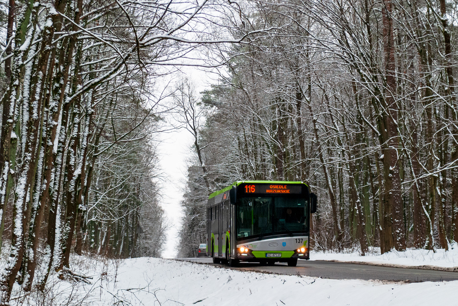 Solaris Urbino 12 #137