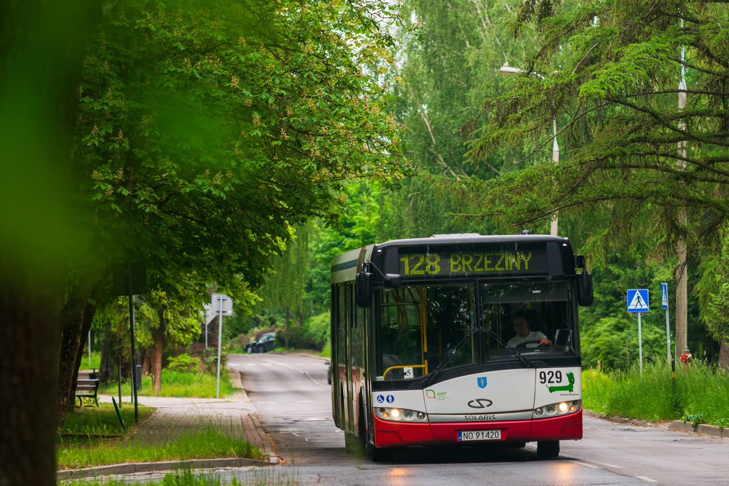 Solaris Urbino 12 #929