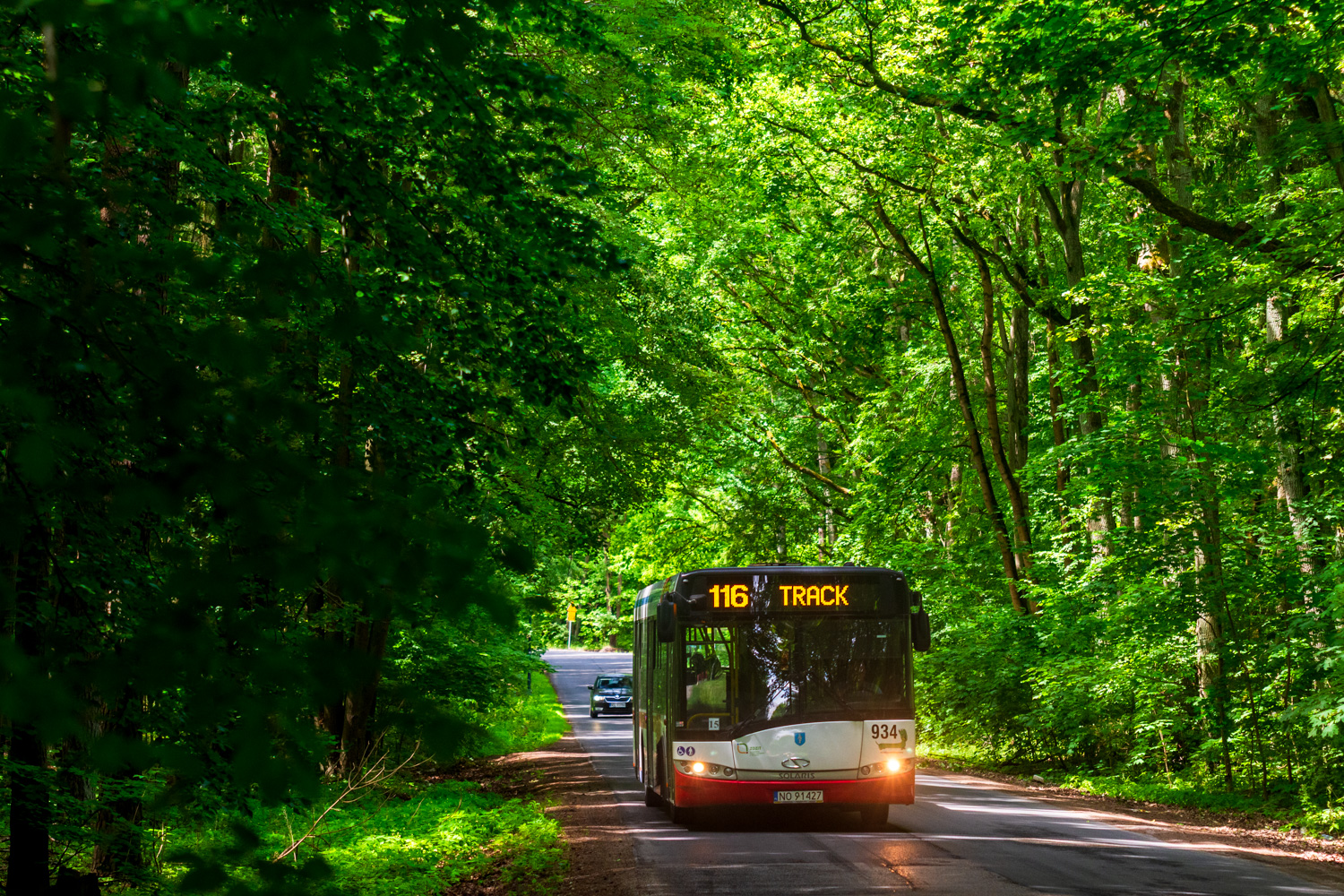 Solaris Urbino 12 #934