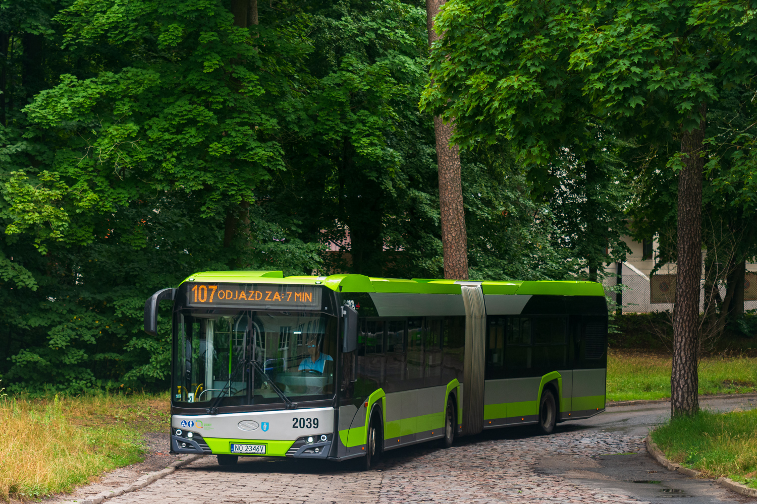 Solaris Urbino 18 #2039