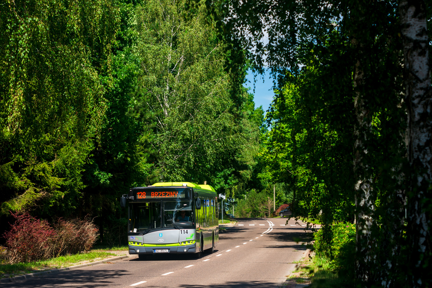 Solaris Urbino 12 #114