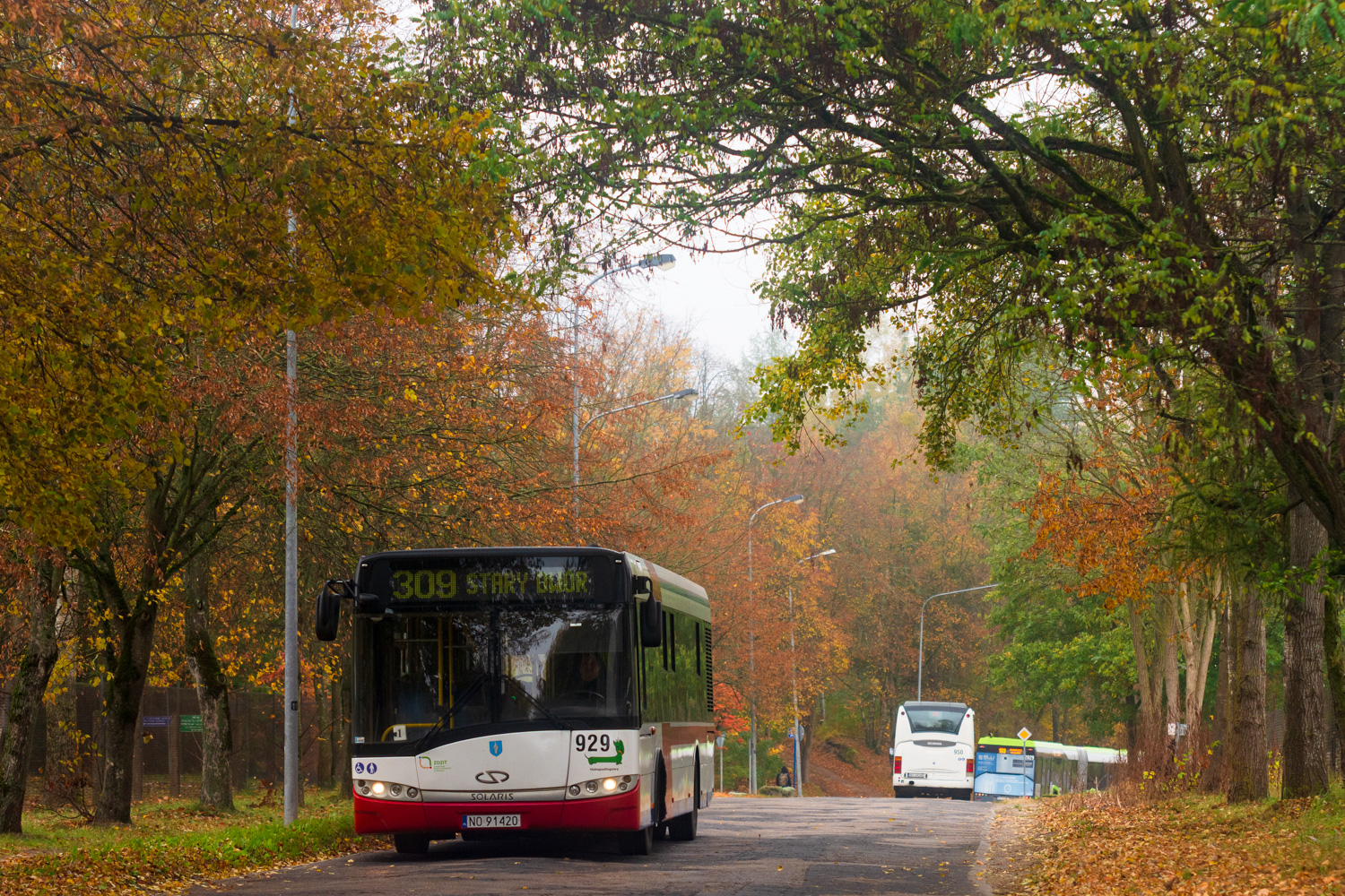 Solaris Urbino 12 #929