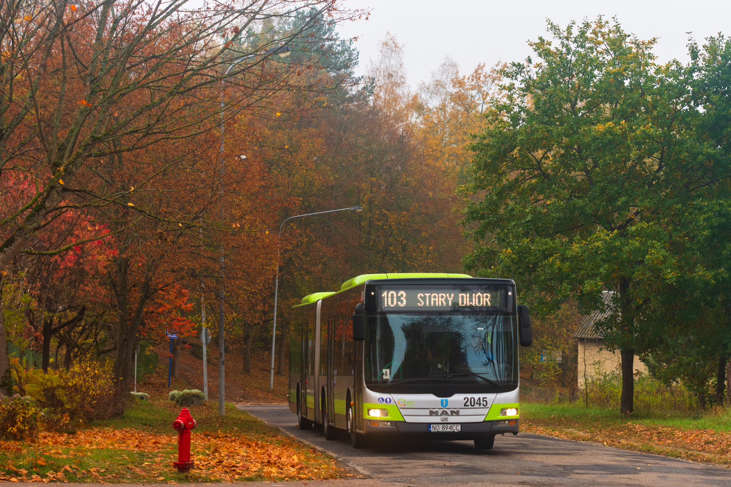MAN NG323 Lion`s City G #2045