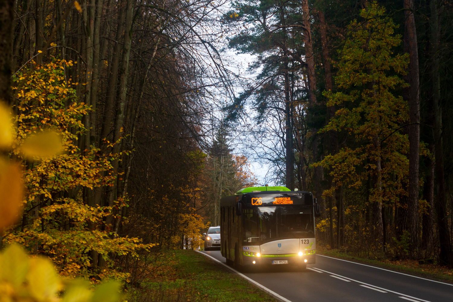 Solaris Urbino 12 #123