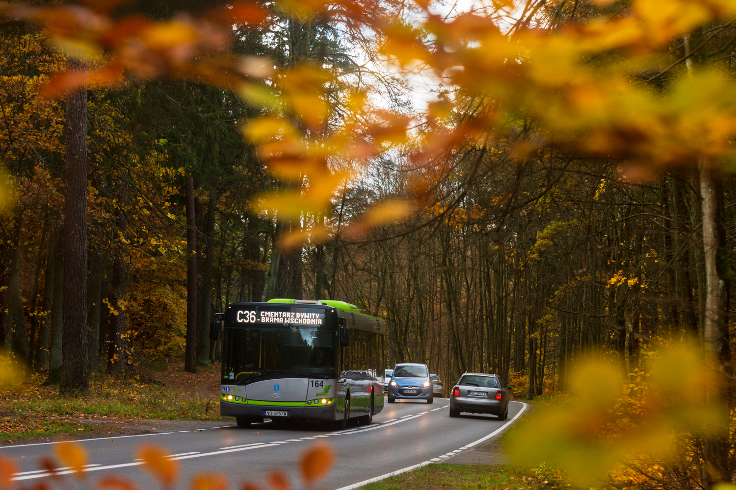 Solaris Urbino 12 #164