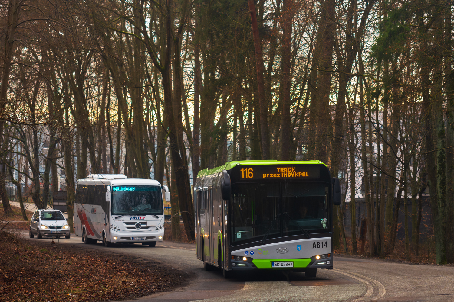 Solaris Urbino 12 #A814