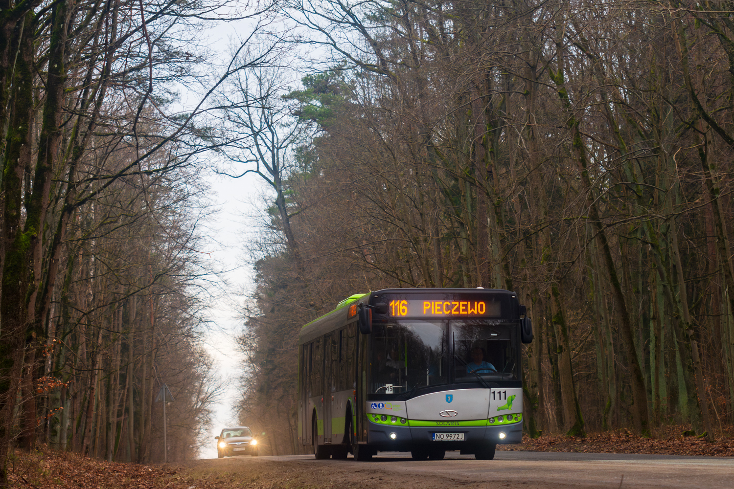 Solaris Urbino 12 #111