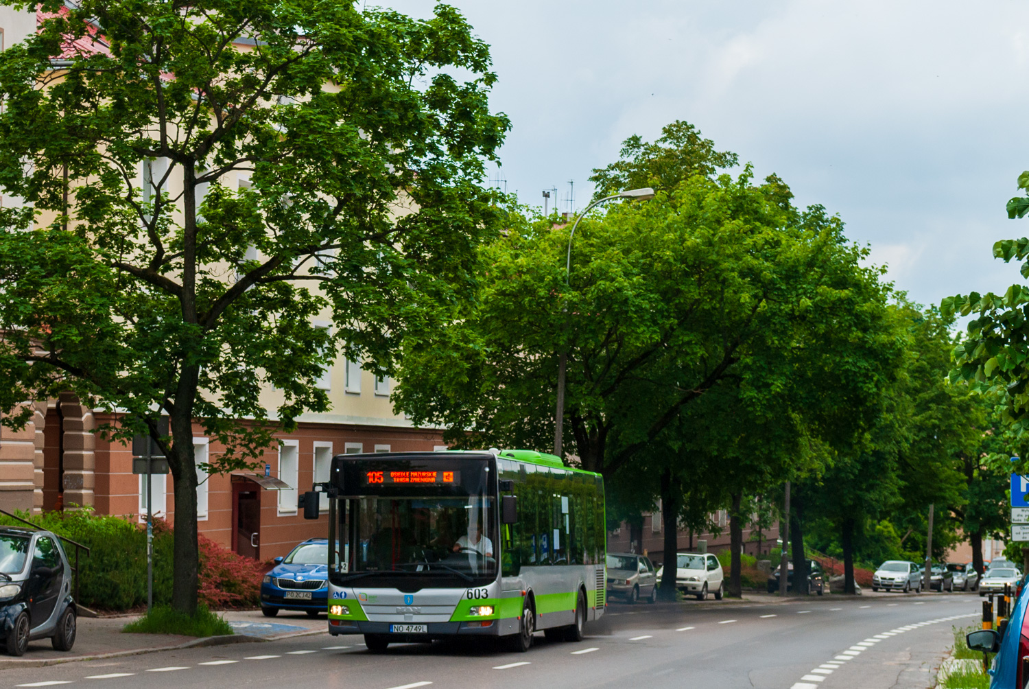 MAN NM243 Lion`s City M #603