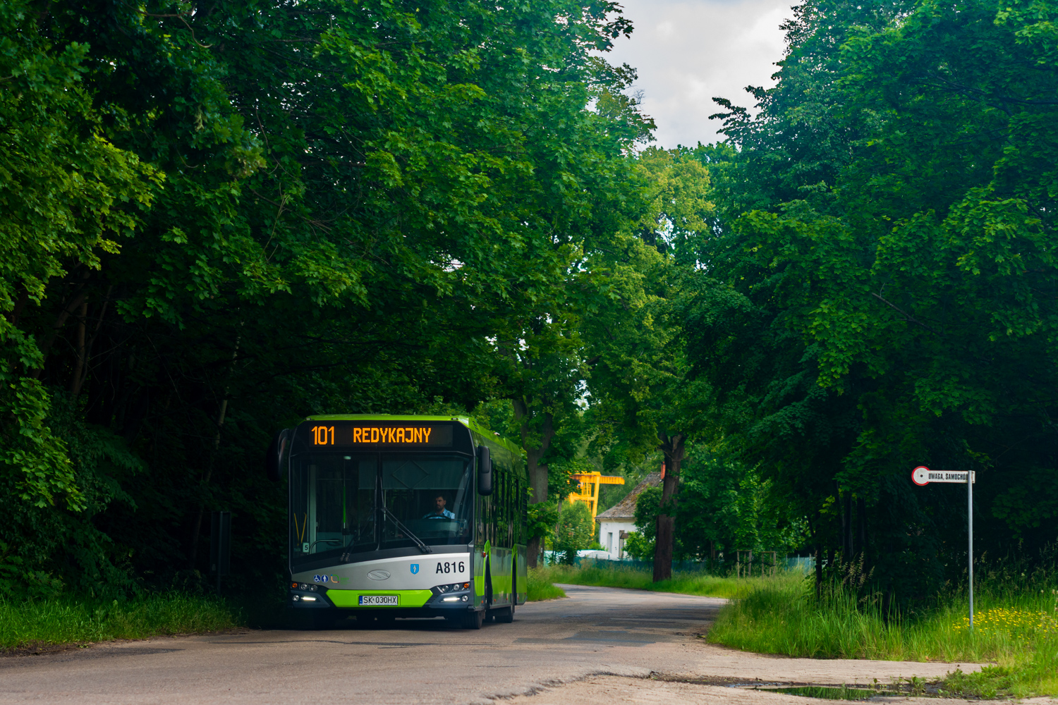 Solaris Urbino 12 #A816