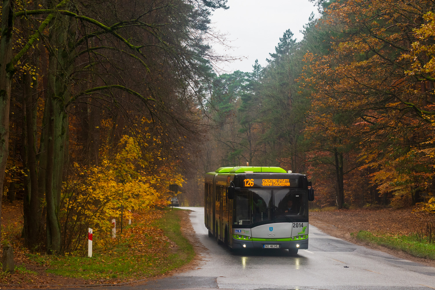 Solaris Urbino 18 #2014