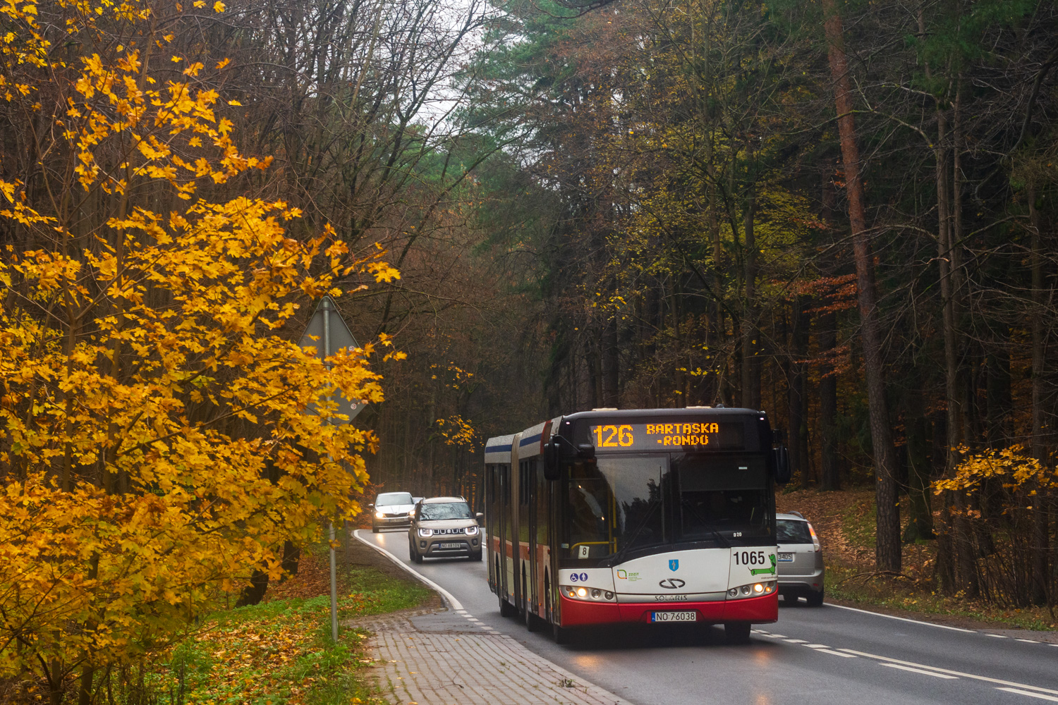 Solaris Urbino 18 #1065