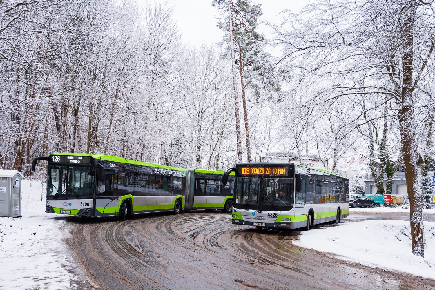 MAN NL323 Lion`s City #A826
