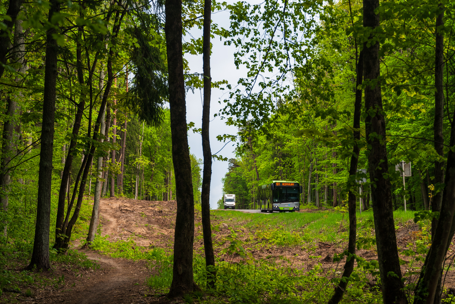 Solaris Urbino 12 #155