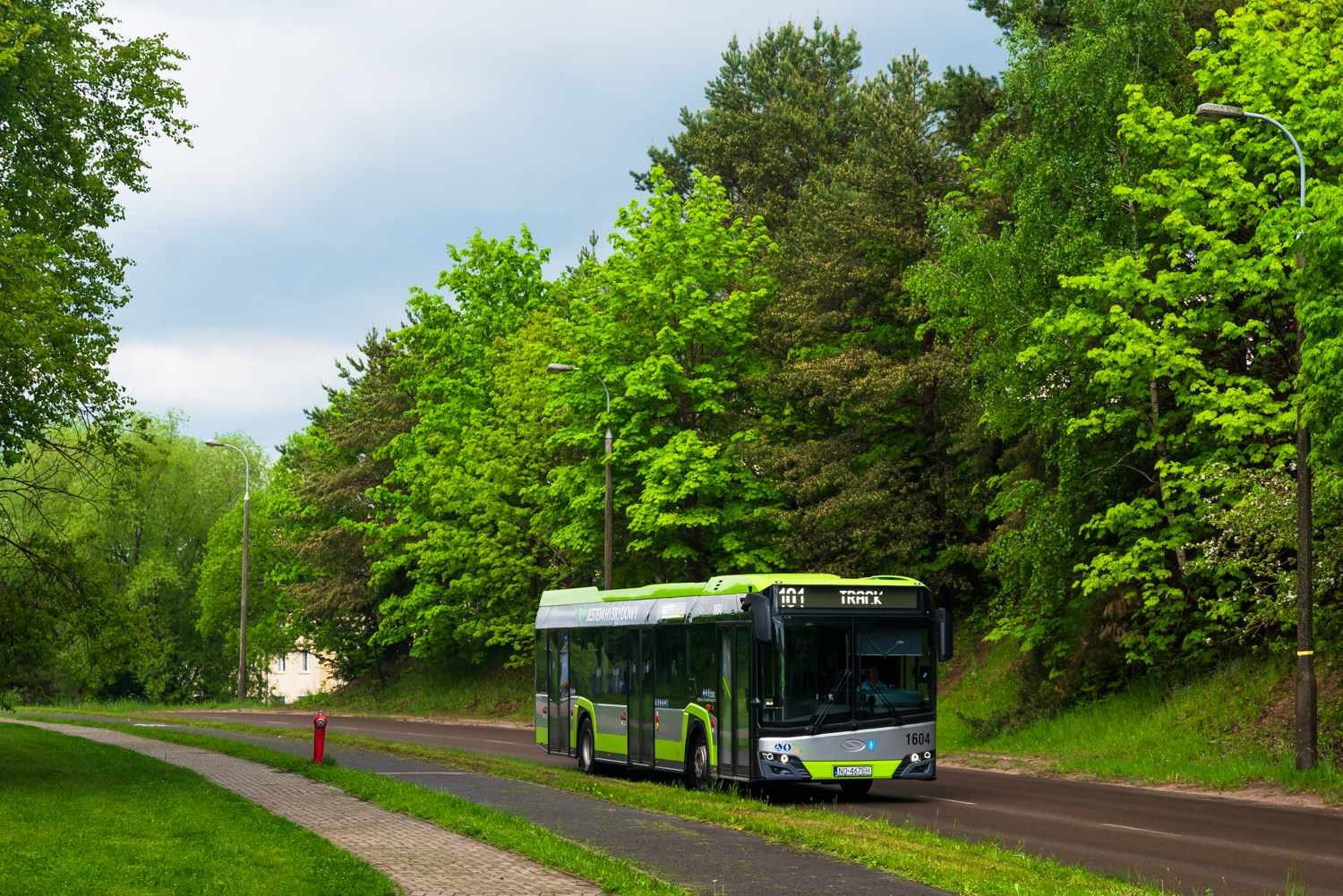 Solaris Urbino 12 mild hybrid #1604