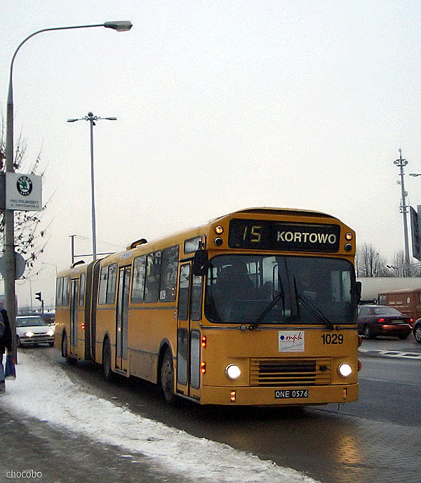 DAB 6-31-TL11/5 #1029