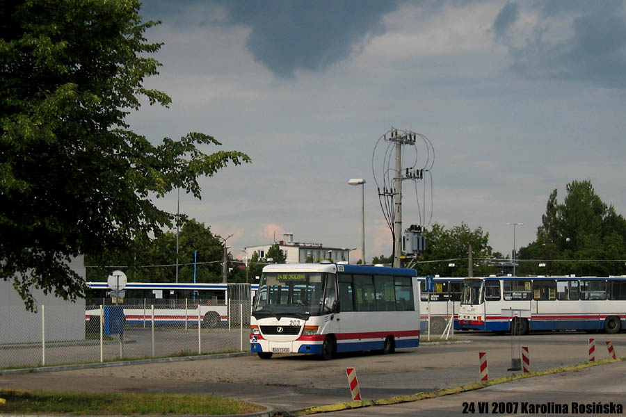 Jelcz M081MB #203