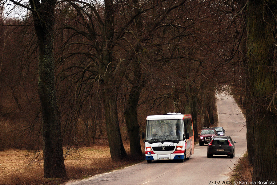Jelcz M081MB #203