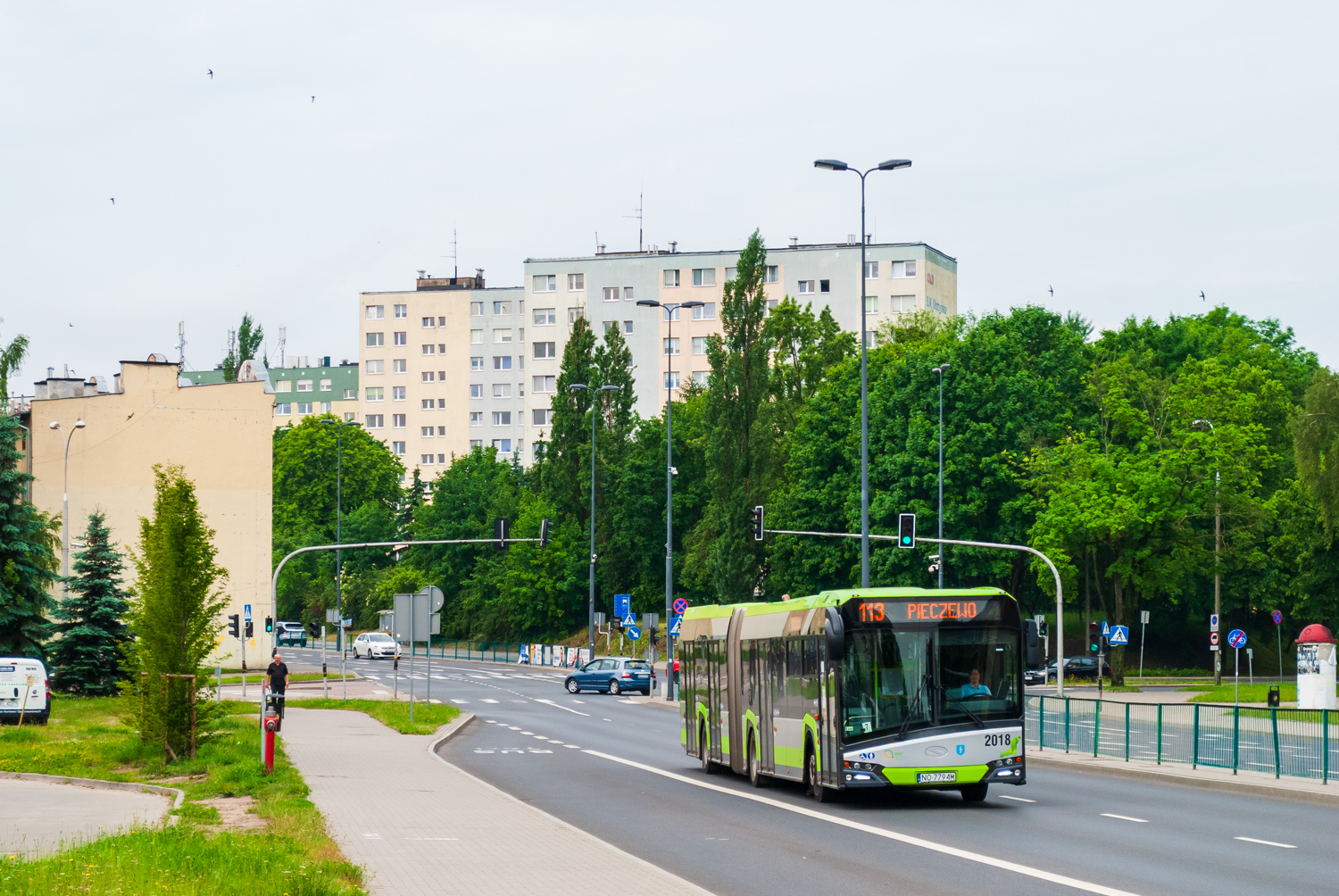 Solaris Urbino 18 #2019