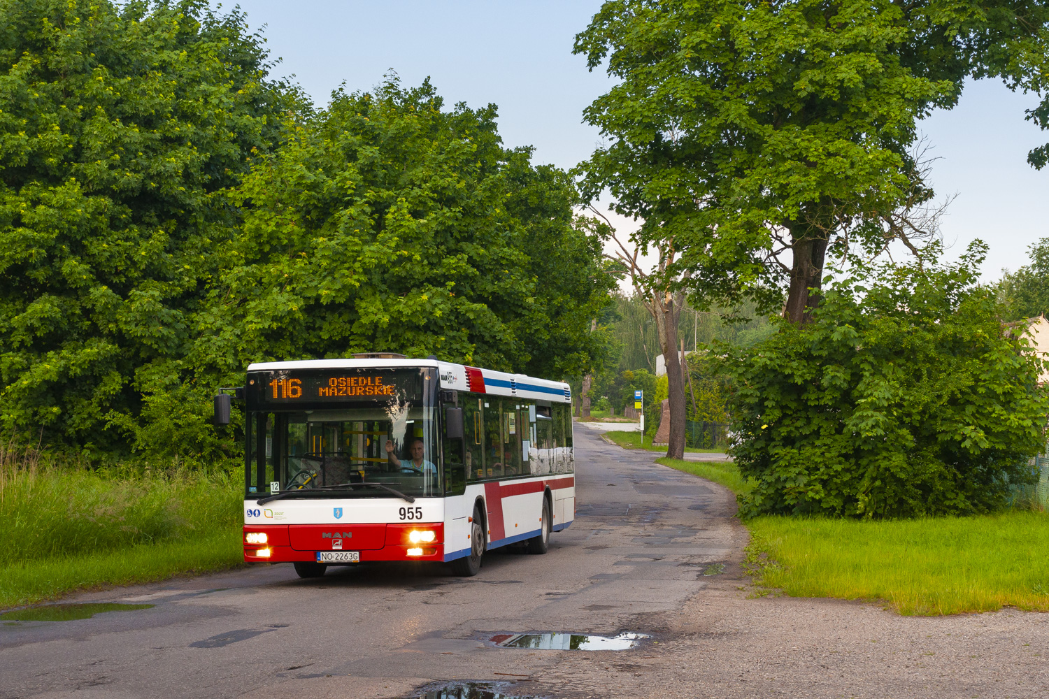 MAN NL263 #955