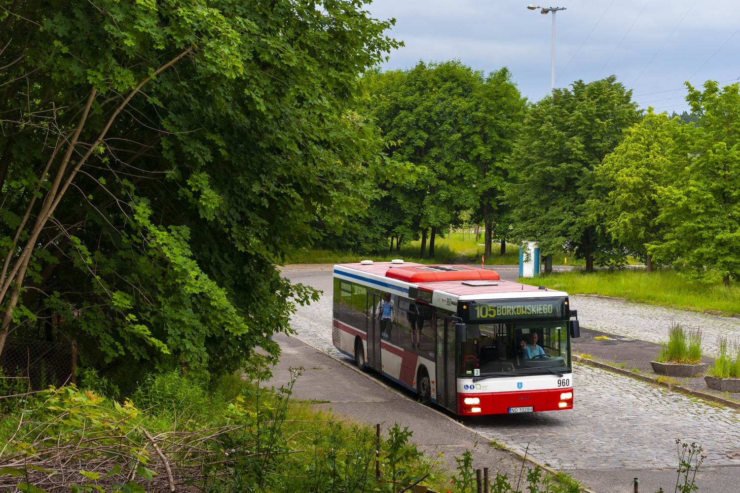 MAN NL313 #960