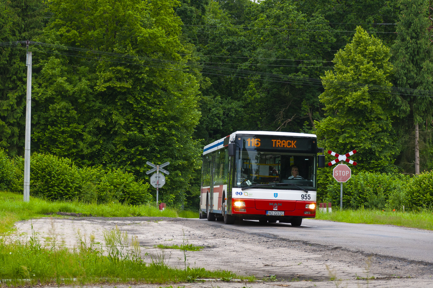 MAN NL263 #955