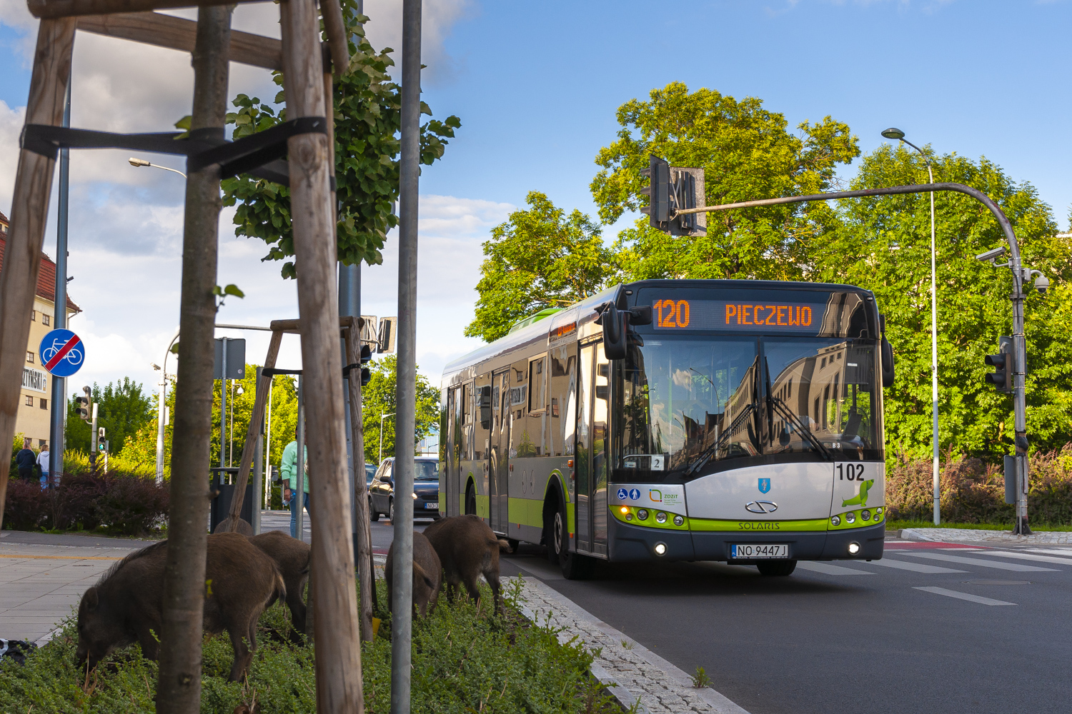 Solaris Urbino 12 #102